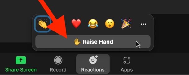 如何在 Mac 或 Windows 上的 Zoom 中举手